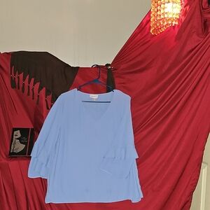 EUC Jaclyn Smitg Light Blue V-Neck Ruffle Sleeve Blouse With Side Slits